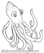 Drawing Of An Octopus