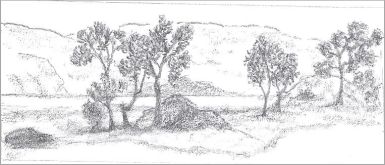 Easy landscape sketch
