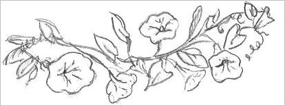Easy sketch flowers