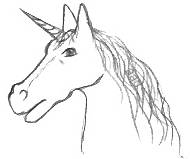 Fantasy Horse Head Drawing