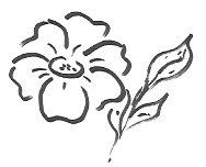 Flower Drawing