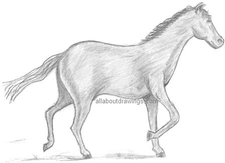 Trotting Horse Drawing