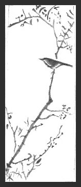 Japanese Bird Drawing