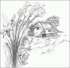 Landscape Flowers Sketch