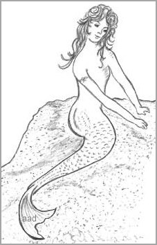 Mermaid Drawing