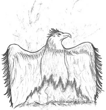 Phoenix Bird Drawing