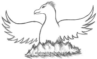 Phoenix Bird Drawing Outline