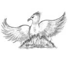 Phoenix Bird Drawings