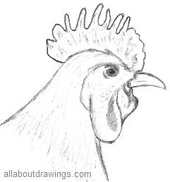 Drawing Of A Rooster Head