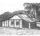 Shed drawing
