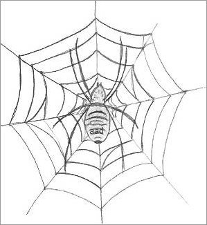 Spider In A Web Drawing