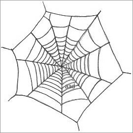 Spider Web Drawing