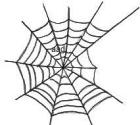 Spider web drawings