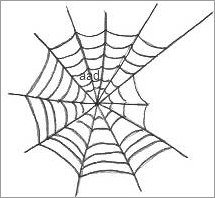 Spider Web Drawings